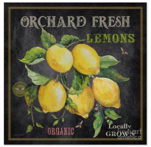 Artist Jean Plout Debuts Orchard Fresh Collection